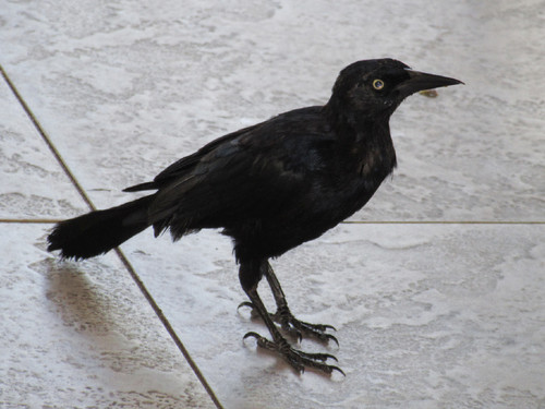 IMG_4500.JPG IMG_4500.JPG