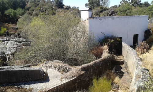 Foto original de Marco Rego 2015.JPG