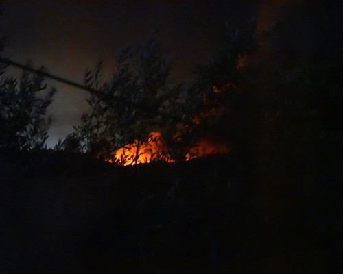 DSC04181_2 - Cópia-3.jpg DSC04181_2 - Cópia-3.jpg