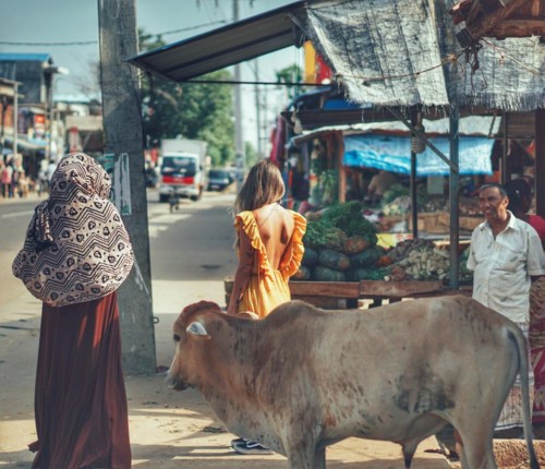 22049982_10214552974688172_716703163891164424_n.jp