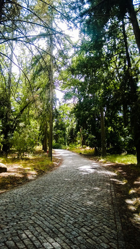 AdobePhotoshopExpress_00490af8278e40ba99985b825b2e