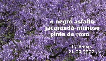 jacaranda_mimoso.jpg jacaranda_mimoso.jpg
