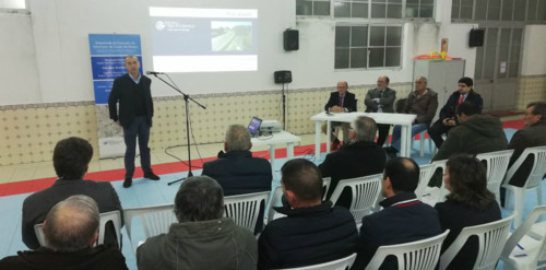 sessao_intercetor_casais_boicas_05.jpg