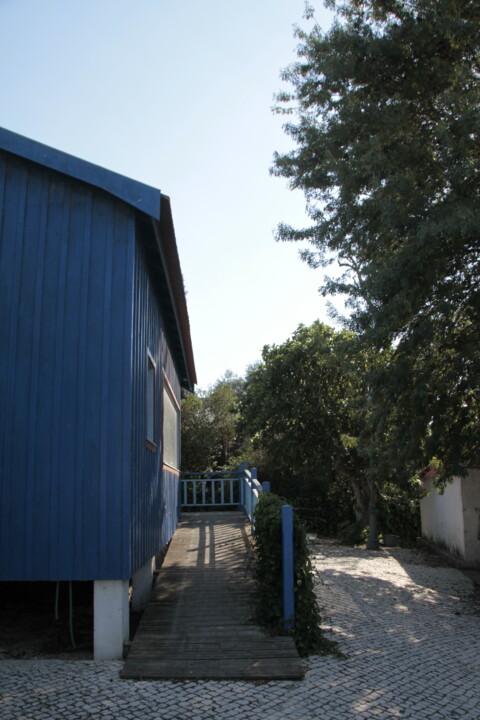 _MG_7301.JPG