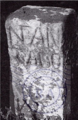 Marco da Casa do Infantado possuidora de pinhais n