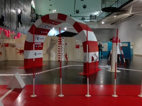 IMG_20190120_130825.jpg IMG_20190120_130825.jpg