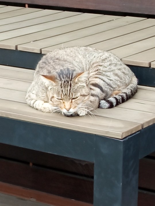 IMG_20201113_143118 (2).jpg