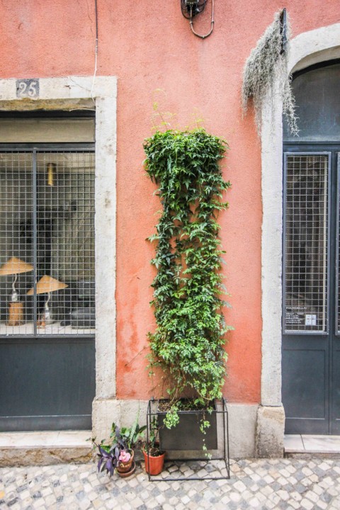 rua da silva 14.jpg rua da silva 14.jpg