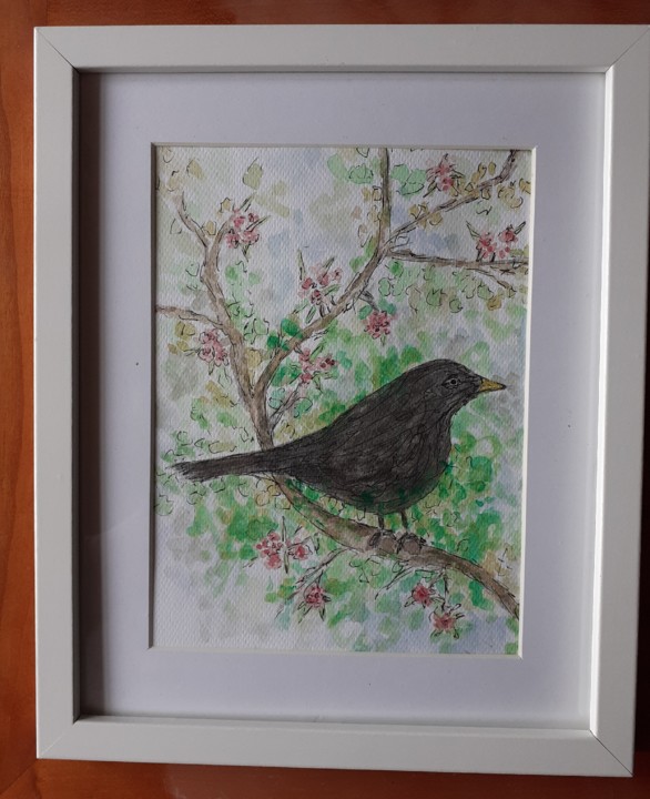 20210502_155954.jpg 20210502_155954.jpg