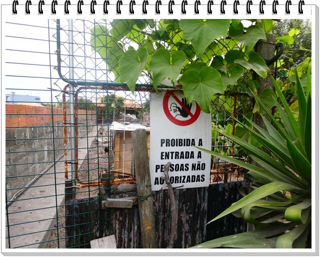 24a_Murtosa_Casa_do_Luís (7).JPG