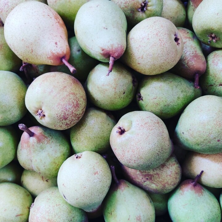 542805838_18497653411066958_8398395779959649857_n.