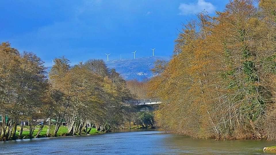 120535841_10218504976430771_1152175251201499507_n.