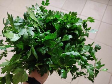 394927052_296486809856188_2925610308638597767_n.jp