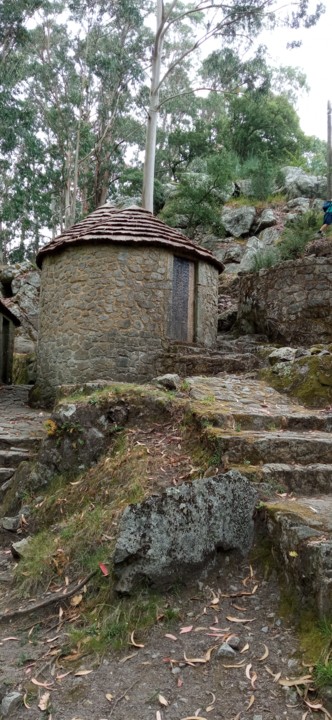 IMG_20210626_170036.jpg IMG_20210626_170036.jpg