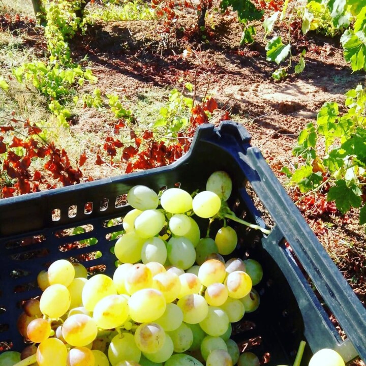 544869541_18498765688066958_3221043349965268841_n.