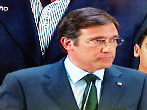 Coelho guarda-costas.jpg