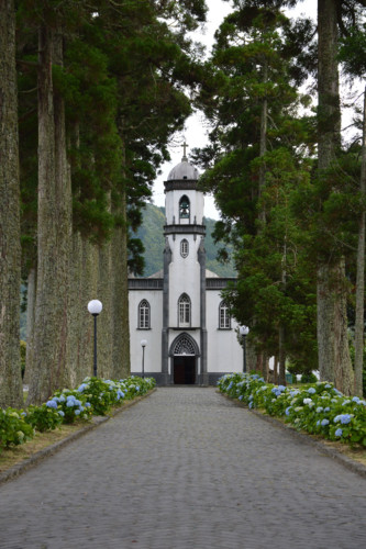 Açores_cam (46).jpg