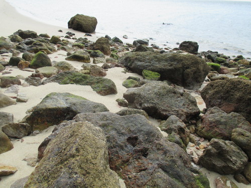 arrábida set 027.JPG