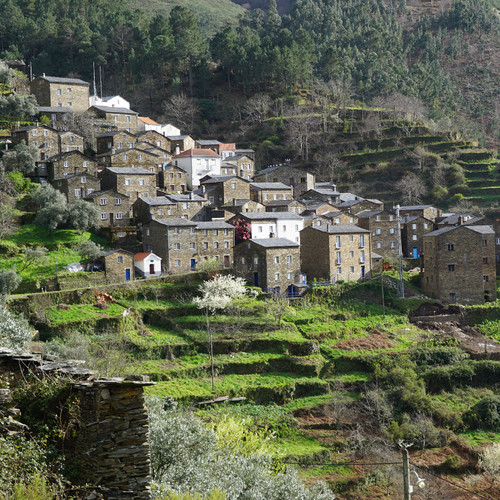 DSC02989.JPG DSC02989.JPG