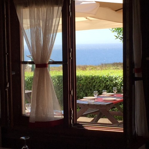 IMG_0326.JPG.jpeg IMG_0326.JPG.jpeg