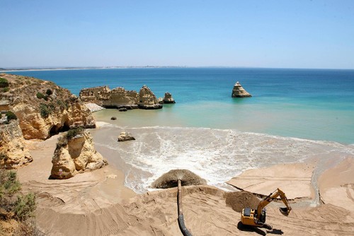 d ana 02.jpg d ana 02.jpg