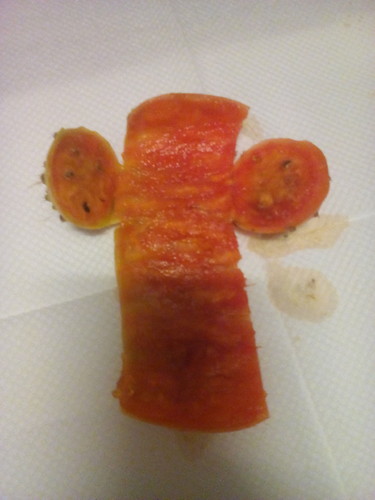 Casca Figo. Original DAPL. 2016.jpg