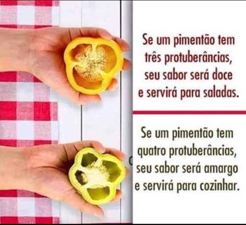 IMG_1786.jpg IMG_1786.jpg