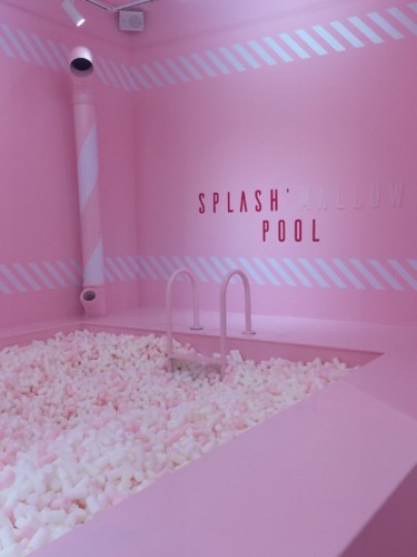 IMG_3250.JPG IMG_3250.JPG