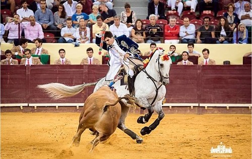 jmoura jr foto campo pequeno.jpeg
