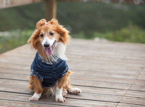 Kid_entre 8.99eur e 14.99eur.jpg