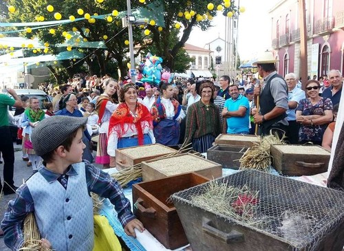 Padornelo no Cortejo Etnográfico de Paredes de Co