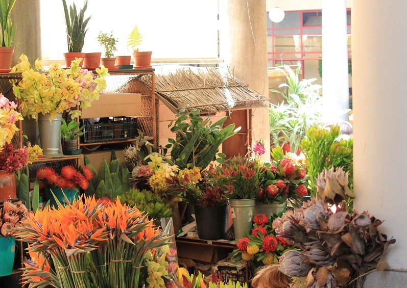 Madeira (267).jpg Madeira (267).jpg