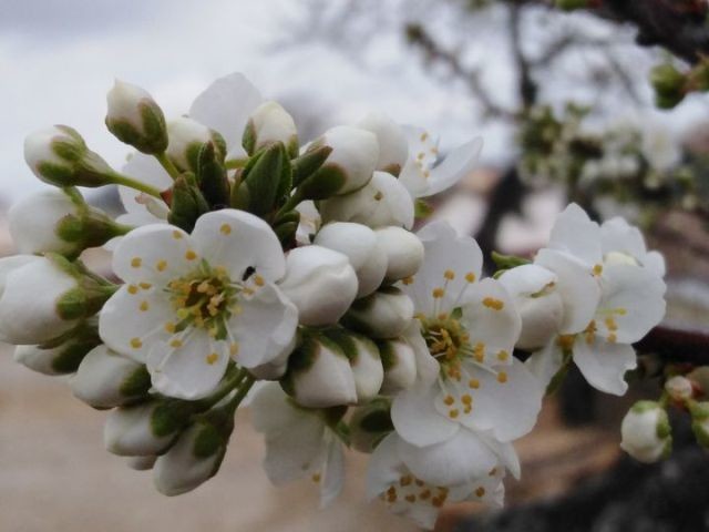 155187045_3683922625056349_6841835375973204010_o.j