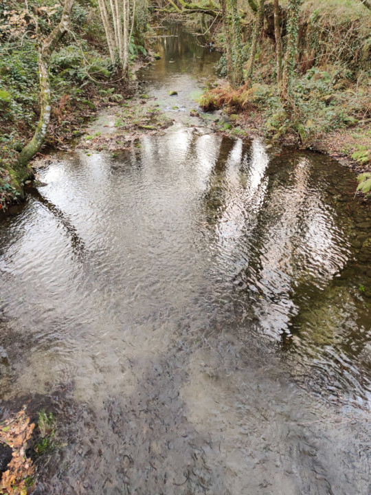 Ribeiros paisagem.jpg