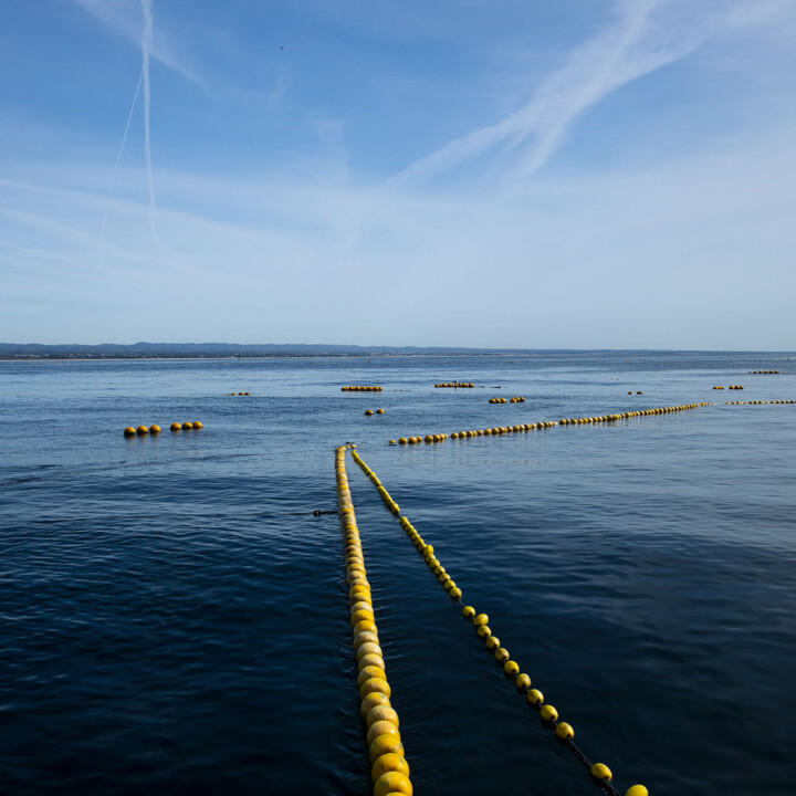 Patrimonio_em_Rede_srgb_┬®Eduardo Martins_1.jpg