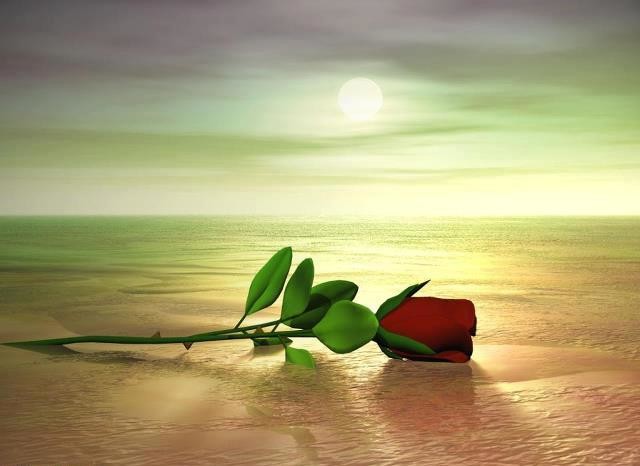 401591_3286197988122_1062831030_32638482_173682186 401591_3286197988122_1062831030_32638482_173682186