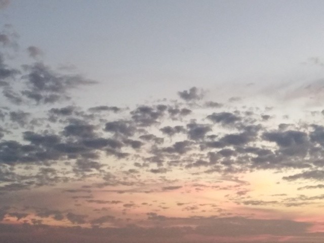 IMG_20201008_192554.jpg IMG_20201008_192554.jpg