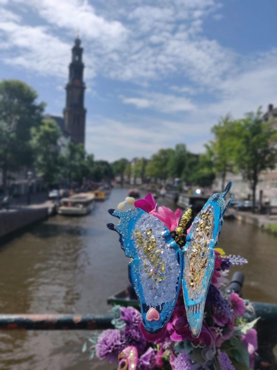 IMG_20200719_123048_Bokeh.jpg IMG_20200719_123048_Bokeh.jpg