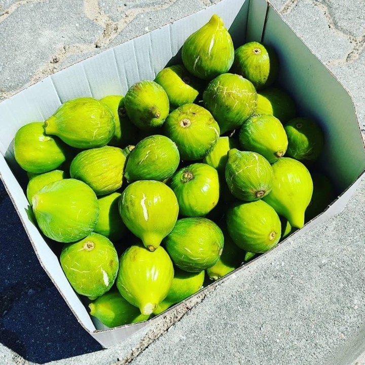 116244990_1765243873615366_2197661992271229548_o.j