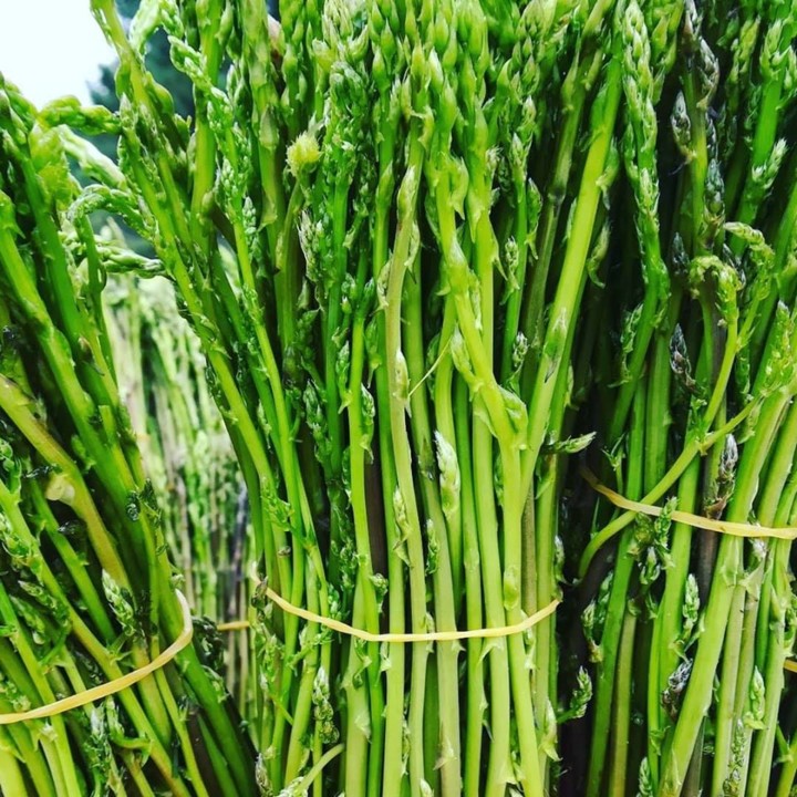 86264601_1617718611701227_7944775760487645184_o.jp