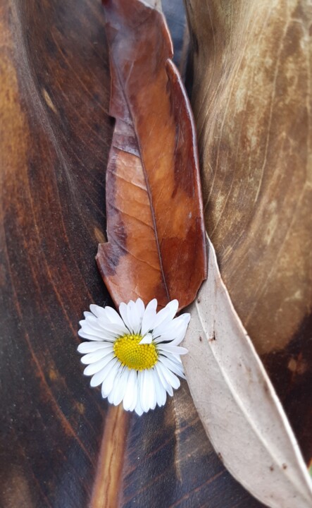 2023-02-21 12.29.05-1.jpg