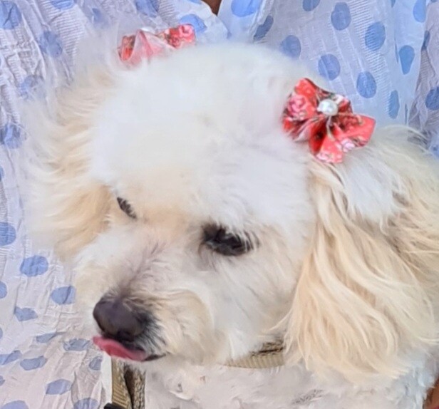 20200807_155021 (2).jpg