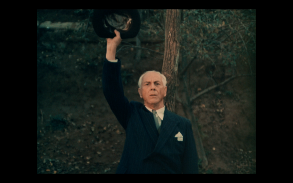 3fd38f24-c078-11e6-90cc-06ead731d453_1559570119647