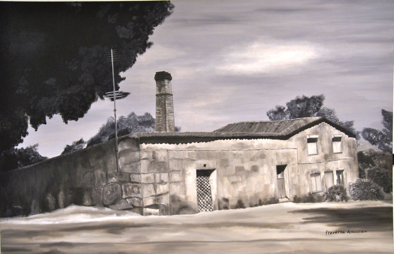 14068456_10208217356564156_3437982710859347925_o.j