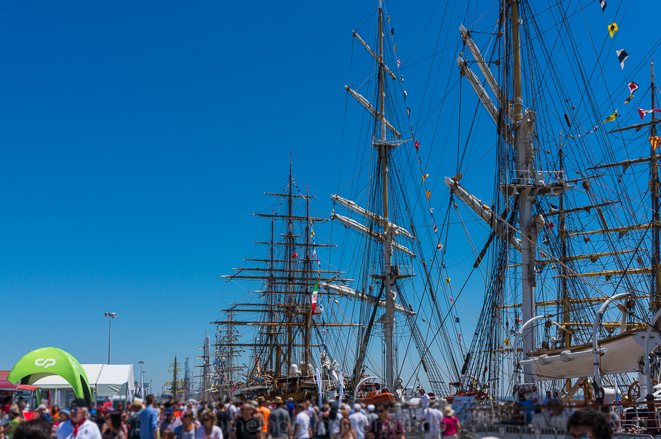 DSC04067.jpg DSC04067.jpg