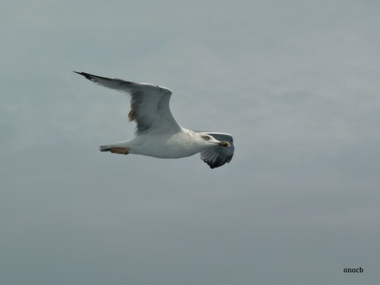 Split, Croatia (3).jpg