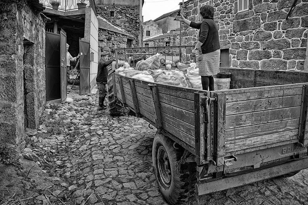 Barroso - Penedones, etc 055 - Cópia.jpg