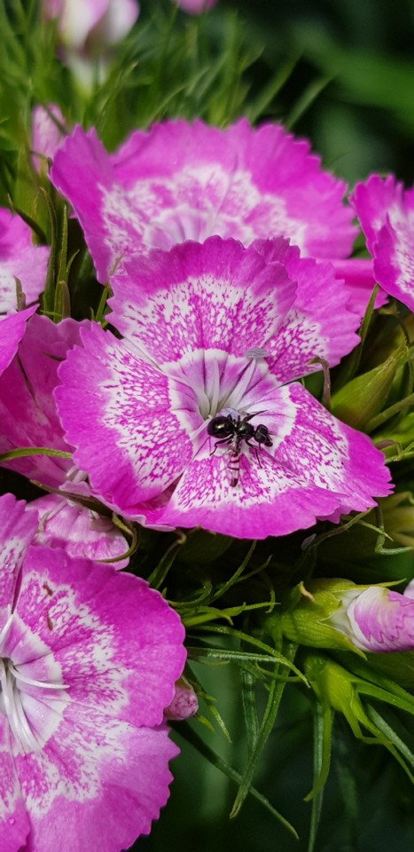 20180429_143212.jpg 20180429_143212.jpg