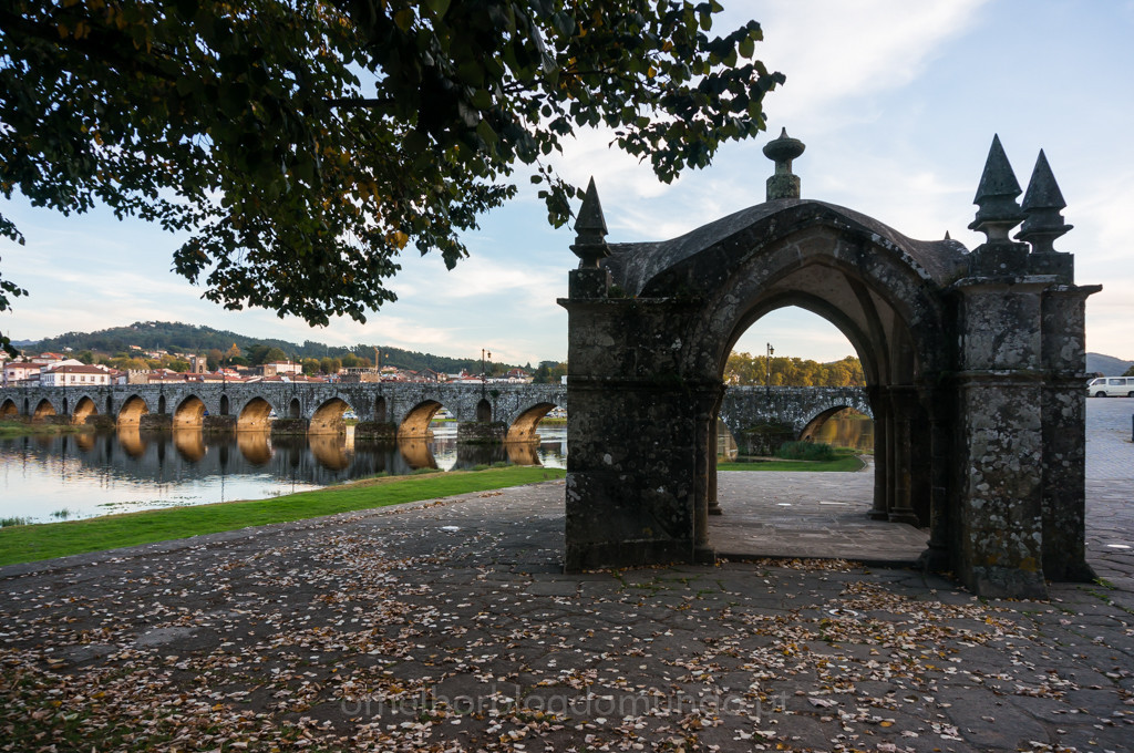 DSC03306.jpg DSC03306.jpg