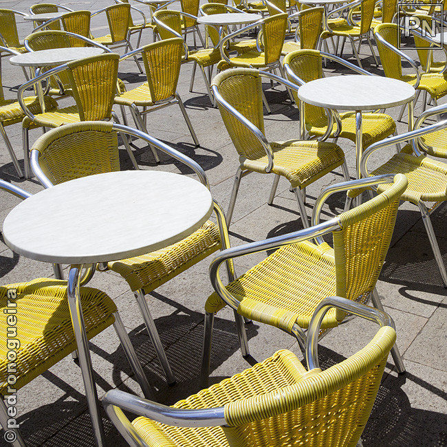 _MG_1340 650px.jpg _MG_1340 650px.jpg